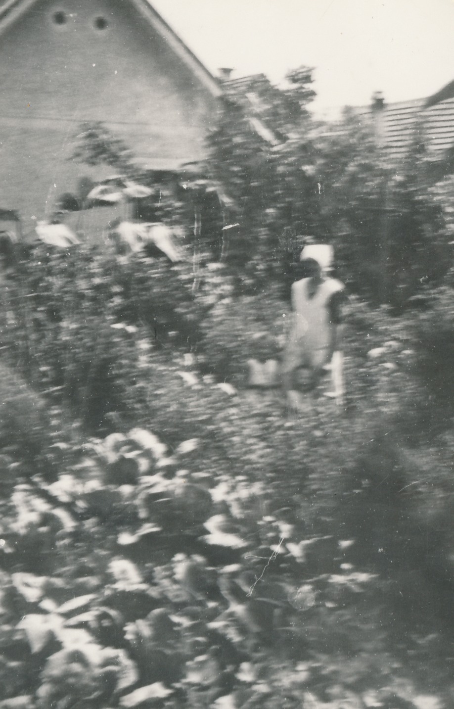 eika image